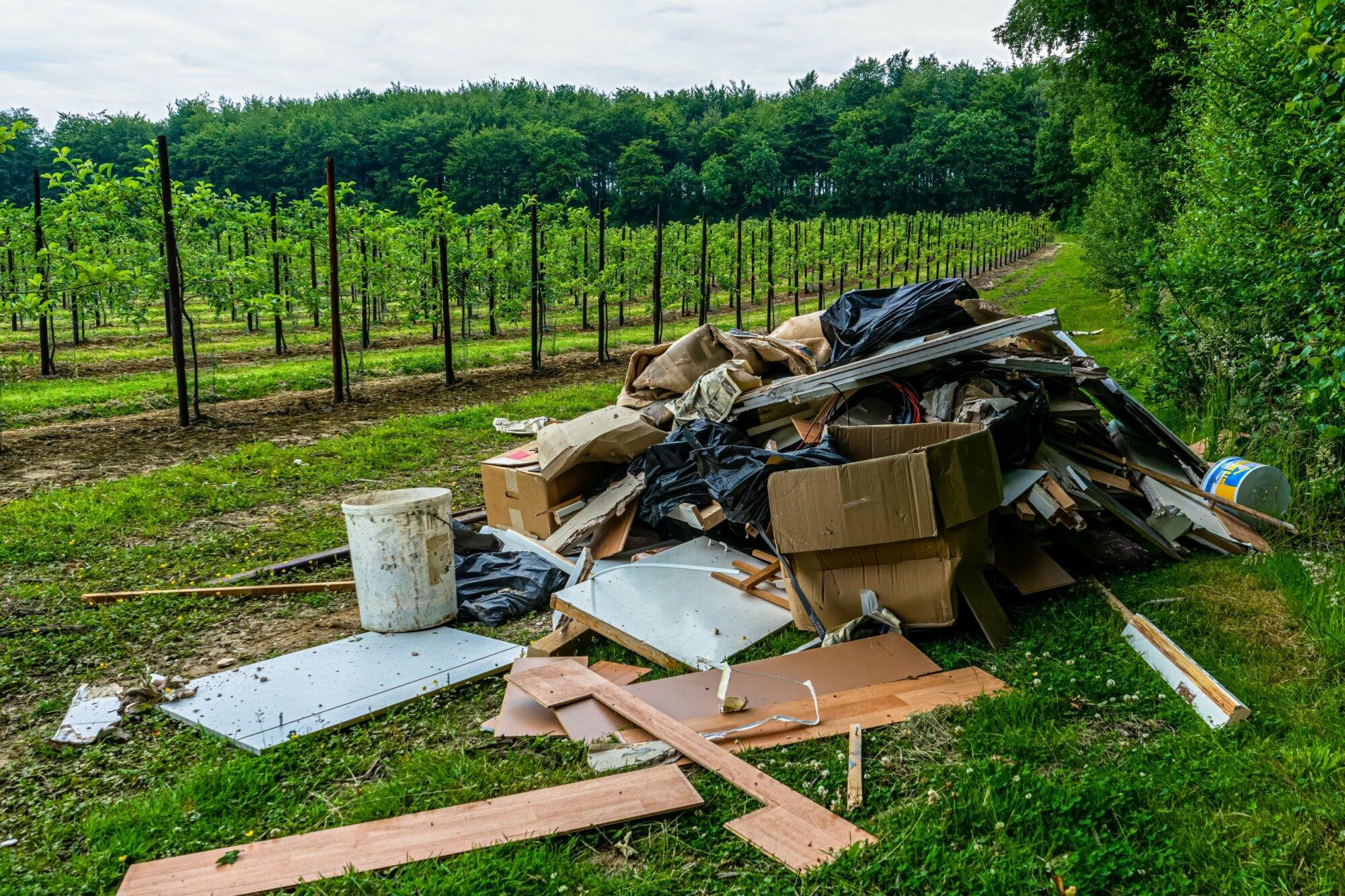 Illegal entsorgter Bauschutt neben einem Weinberg